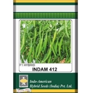 CHILLI F1 - INDAM-412