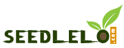 seedlelo.com