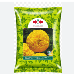 MARIGOLD HYBRID
