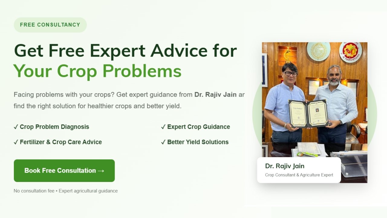 Home Supermarket jain