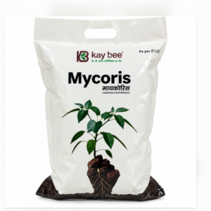 screenshot 2026 10 16 133447